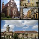 Zary collage